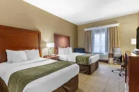 Comfort Inn Aikens Center - 2-Star