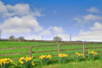 Family Cottage Near Wilsthorpe Beach - 4-Star