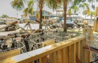 The Silver Lake Hotel at Ocracoke - Wifi