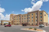 Comfort Inn & Suites - que admiten mascotas