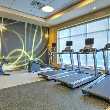 Hilton Garden Inn Dallas/Arlington