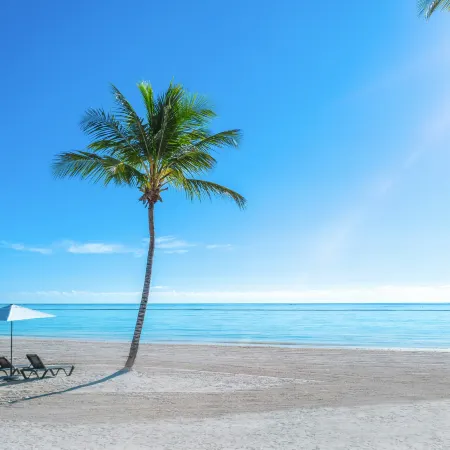 Hyatt Ziva Cap Cana