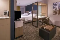 SpringHill Suites Fishkill - Küvet
