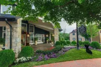 The Park on Main Hotel - Pet friendly