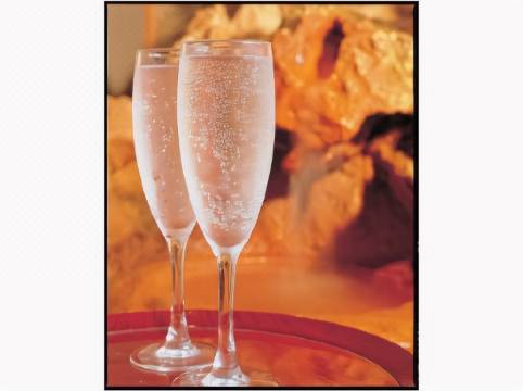 湯屋温泉 炭酸泉の宿 泉岳舘 下呂 宿泊予約 安い料金プラン 口コミ 部屋写真 Trip Com