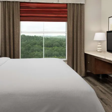 Embassy Suites by Hilton Birmingham Hoover