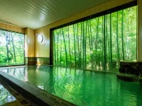 Hakone Onsen Sanso Nakamura - avec sources thermales