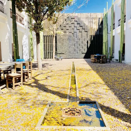 Azul Oaxaca+ Gallery