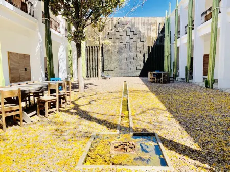 Hotel Azul de Oaxaca Отели рядом с достопримечательностью «Centro Histórico de Oaxaca de Juárez»