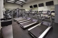 Plaza Garden Moscow WTC Hotels in Moscow