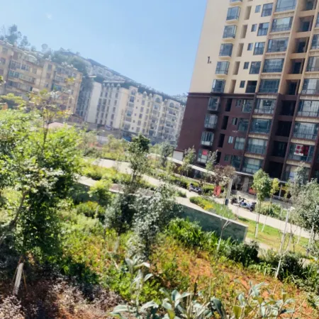 Zhaoqingping Apartment (Taiping Road No. 2)