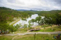 Pine Tree Homestay