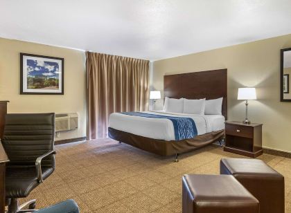 Comfort Inn Grand Rapids Airport