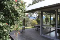 Elfin Hill Vineyard Accommodation - Mountain view