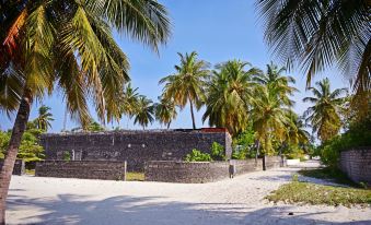 Asaa View Maldives