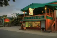 Lazy Parrot Inn & Mini Resort