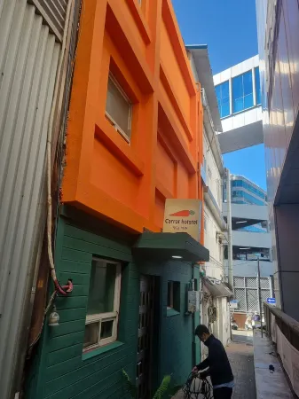 carrot hostel