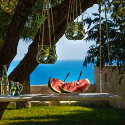 Bohemian Blue Hotel Exterior