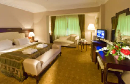 拉塔尼亞棕櫚温泉機場酒店 安塔利亞