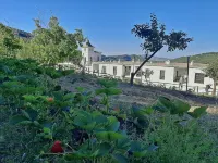 Hotel Apartamento Nueva Alcazaba Hotels in Berchules