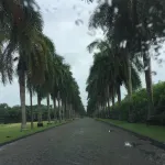 埃德費希爾別墅