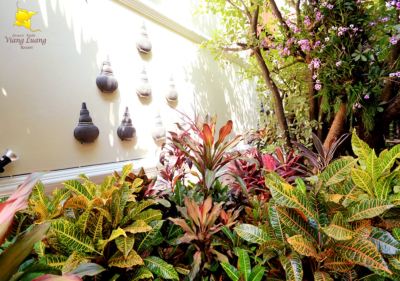 庭 ヴィアンルアン リゾートの写真