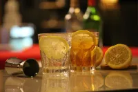 攀武裡格里斯別墅 - 酒吧