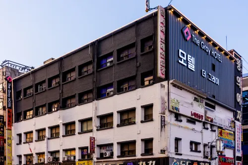 Ansan (Evergreen Tree) the Gray