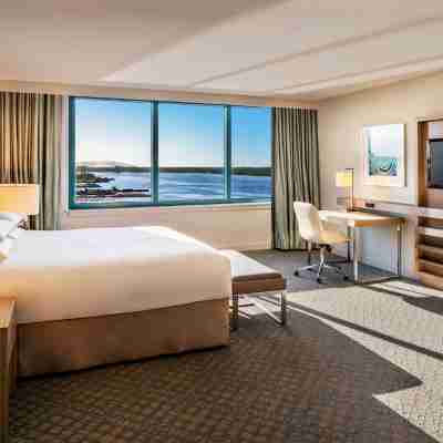 Hyatt Regency Jacksonville Riverfront Rooms