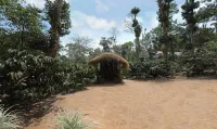 Itsy Hotels Jammabane Cottage Hotels in Kodagu