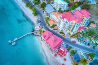 Cane Garden Bay Beach Hotel Hotels near J.R. O'Neal Botanical Gardens