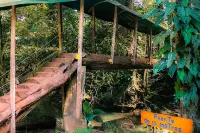 Hotel del Bosque