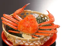 Kaike Shogetsu - Breakfast