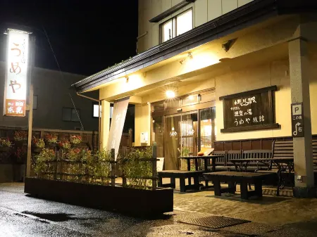 Umeya Ryokan Отели рядом с достопримечательностью «Kasugasan Rinsenji Temple»