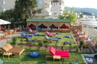 Grand Koru Hotel Beach - Beach