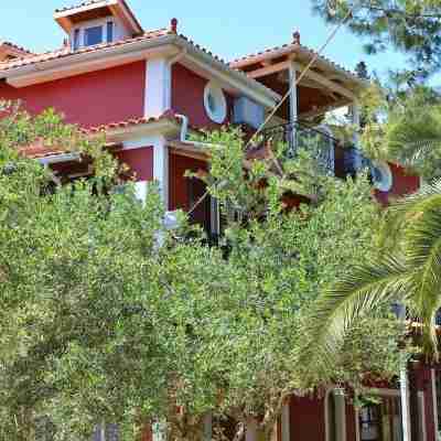 Zakynthos Villas Hotel Exterior