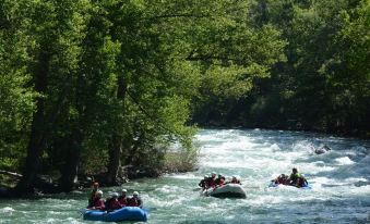 Apartamentos Pessets Adelaida