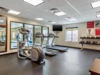 Comfort Inn & Suites Schenectady - Scotia Hotels in Schenectady County