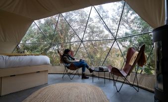 a person is sitting in a chair with their legs crossed , reading a book while looking out of a glass dome window at Fernwood