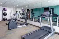 Holiday Inn Express & Suites ROANOKE RAPIDS SE by IHG - Gym