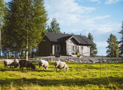 Villa lystikämä
