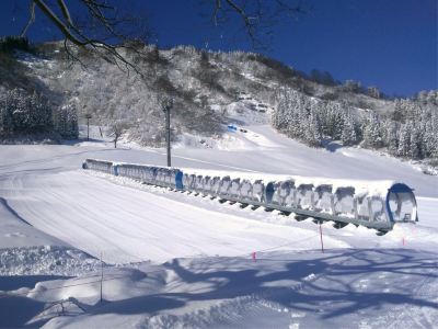 ホテル周辺 越後湯沢温泉 露天大岩風呂の宿 湯沢東映ホテルの写真