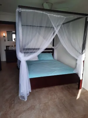 Moringa Villa Hotels near Têt Paul nature trail gift shop
