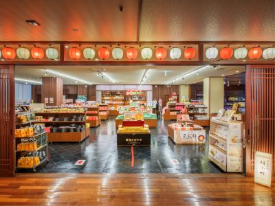 共有エリア 鬼怒川温泉 日光きぬ川ホテル三日月の写真