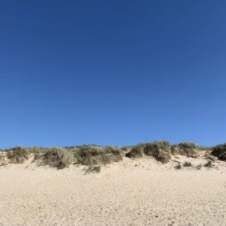 Sea Garden