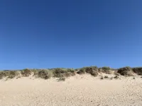 Sea Garden