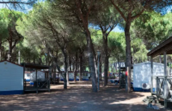 Pineta Sul Mare Camping Village