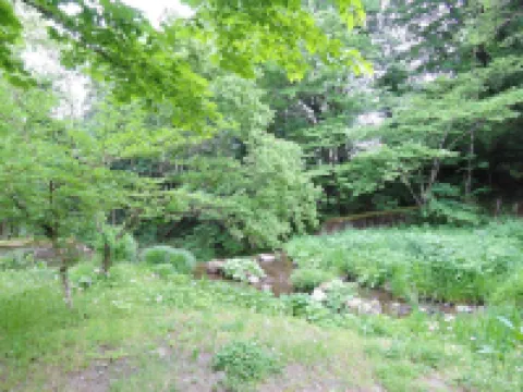 Pension Shanker Hotels in Nihonmatsu