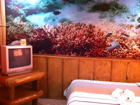 Anahaw Island View Resort Отели рядом с достопримечательностью «Площадь Санта Мария Виллидж»