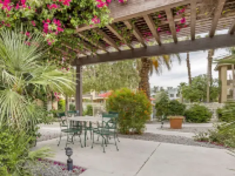 เบสท์เวสเทิร์นพลัส ปาล์มเดสเสิร์ทรีสอร์ท โรงแรมในปาล์มดีเซิร์ท